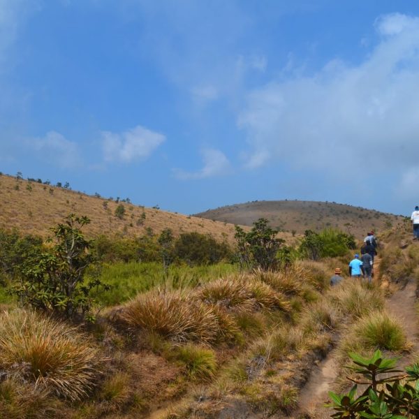 horton-plains-national-park563