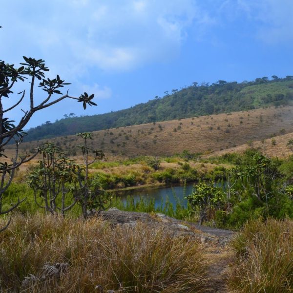 horton-plains-national-park856