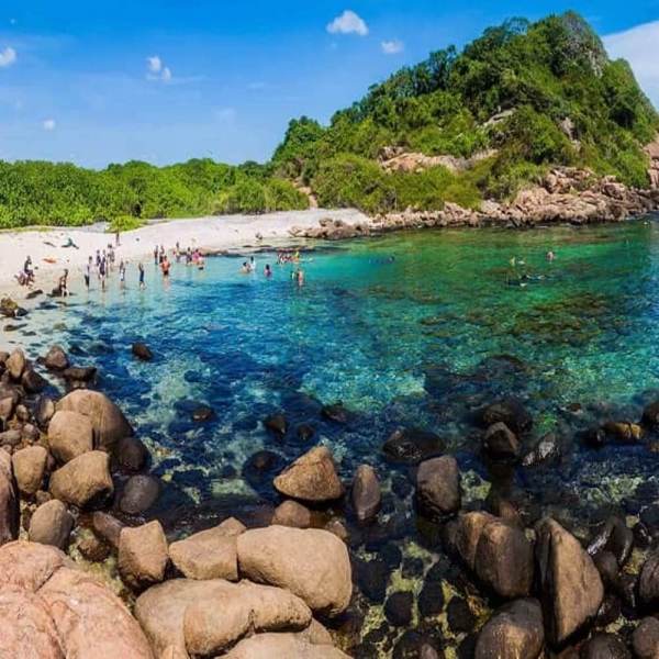 pigineisland