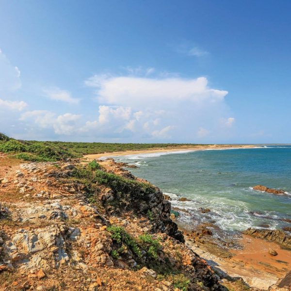 bundala-national-park444